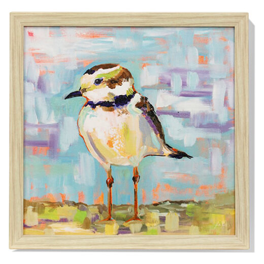 Plover painting