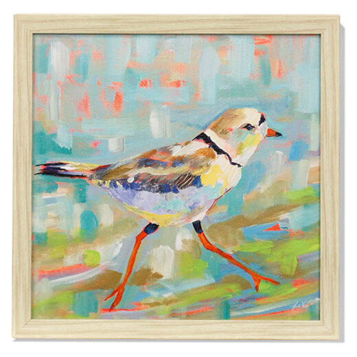 Plover painting