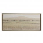 Dry prairie